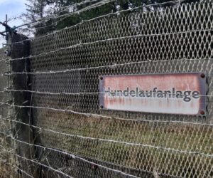 Hundelaufanlage